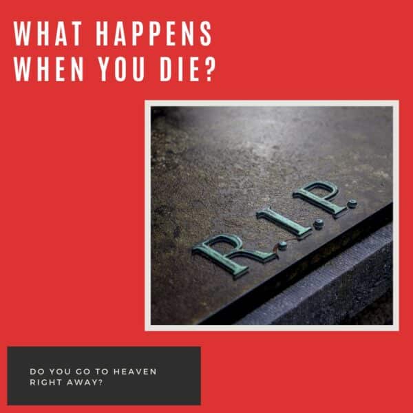 What happens when you die? - Uncovering Intimacy